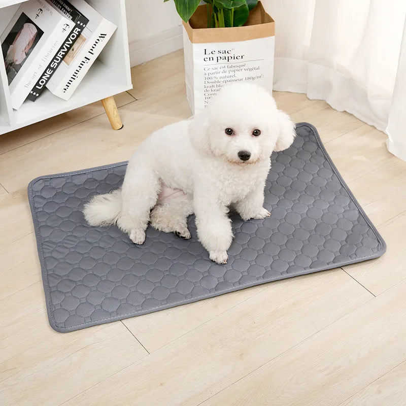 Reutilizável cão Pee Pad cobertor